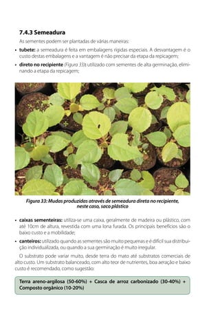 7.4.3 Semeadura
As sementes podem ser plantadas de várias maneiras:
•	 tubete: a semeadura é feita em embalagens rígidas especiais. A desvantagem é o
custo destas embalagens e a vantagem é não precisar da etapa da repicagem;
•	 direto no recipiente (Figura 33): utilizado com sementes de alta germinação, elimi-
nando a etapa da repicagem;
•	 caixas sementeiras: utiliza-se uma caixa, geralmente de madeira ou plástico, com
até 10cm de altura, revestida com uma lona furada. Os principais benefícios são o
baixo custo e a mobilidade;
•	 canteiros: utilizado quando as sementes são muito pequenas e é difícil sua distribui-
ção individualizada, ou quando a sua germinação é muito irregular.
O substrato pode variar muito, desde terra do mato até substratos comerciais de
alto custo. Um substrato balanceado, com alto teor de nutrientes, boa aeração e baixo
custo é recomendado, como sugestão:
Terra areno-argilosa (50-60%) + Casca de arroz carbonizado (30-40%) +
Composto orgânico (10-20%)
Figura 33: Mudas produzidas através de semeadura direta no recipiente,
neste caso, saco plástico
 
