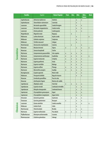 PRÁTICAS PARA RESTAURAÇÃO DA MATA CILIAR | 55
Euphorbiaceae Alchorneatriplinervia Tanheiro x x
Euphorbiaceae Tetrorchidiumrubrivenium Canemão x
Lauraceae Nectandraoppositifolia Canelaferrugem x x
Lauraceae Nectandramegapotamica Canelamerda x x
Lauraceae Ocoteapuberula Canelaguaicá x x
Magnoliaceae Magnoliaovata Baguaçu x
Malvaceae Lueheadivaricata Açoitacavalo x x
Meliaceae Cabraleacanjerana Canjerana x
Meliaceae Trichiliaclaussenii Catiguá x
Monimiaceae Hennecartiaomphalandra Canema x x
Moraceae Macluratinctoria Tajuva x x x x
Moraceae Soroceabonplandii Cincho x
Myrtaceae Campomanesiaguazumifolia   Setecapotes x x x x
Myrtaceae Campomanesiaxanthocarpa Guabiroba x x x x x
Myrtaceae Eugeniainvolucrata Cerejeira x x x x
Myrtaceae Eugeniapyriformis Uvaia x x x x
Myrtaceae Eugeniarostrifolia Batinga x x x
Myrtaceae Eugeniauniflora Pitanga x x x x
Myrtaceae Myrcianthespungens Guabiju x x x x
Nyctaginaceae Guapiraopposita Mariamole x x
Rubiaceae Posoquerialatifolia Bagademacaco x x
Rutaceae Esenbeckiagrandiflora Paudecotia
Rutaceae Zanthoxylumfagara Mamicadecadela
Sapindaceae Allophylusedulis Chalchal x x x x
Sapindaceae Cupaniavernalis Camboatávermelho x x
Sapindaceae Mataybaelaeagnoides Camboatábranco x x
Sapotaceae Chrysophyllumgonocarpum Aguaí x x
Sapotaceae Chrysophyllummarginatum Aguaímirim x x
Arecaceae Geonomagamiova Guaricana x x x
Clusiaceae Garciniagardneriana Bacopari x x x
Lauraceae Ocoteaodorifera Canelasassafrás x x x
Meliaceae Cedrelafissilis Cedro x
Myrsticaceae Virolabicuhyba Bicuíba x x
Myrtaceae Eugeniamulticostata Paualazão x x x x
Phyllanthaceae Hieronymaalchorneoides Licurana
Rhamnacaceae Colubrinaglandulosa Sobragi x
SecundáriasClimácicas
Família Espécie NomePopular Frut. Orn. Mel. Alim.
fauna
Med.
 