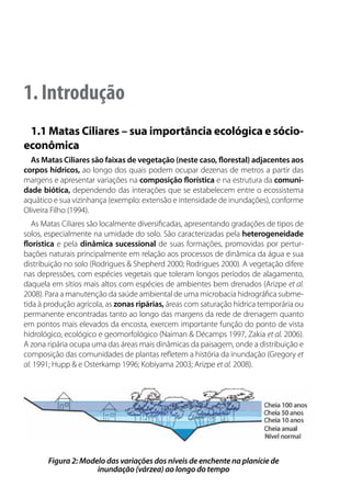1. Introdução
1.1 Matas Ciliares – sua importância ecológica e sócio-
econômica
As Matas Ciliares são faixas de vegetação (neste caso, florestal) adjacentes aos
corpos hídricos, ao longo dos quais podem ocupar dezenas de metros a partir das
margens e apresentar variações na composição florística e na estrutura da comuni-
dade biótica, dependendo das interações que se estabelecem entre o ecossistema
aquático e sua vizinhança (exemplo: extensão e intensidade de inundações), conforme
Oliveira Filho (1994).
As Matas Ciliares são localmente diversificadas, apresentando gradações de tipos de
solos, especialmente na umidade do solo. São caracterizadas pela heterogeneidade
florística e pela dinâmica sucessional de suas formações, promovidas por pertur-
bações naturais principalmente em relação aos processos de dinâmica da água e sua
distribuição no solo (Rodrigues & Shepherd 2000; Rodrigues 2000). A vegetação difere
nas depressões, com espécies vegetais que toleram longos períodos de alagamento,
daquela em sítios mais altos com espécies de ambientes bem drenados (Arizpe et al.
2008). Para a manutenção da saúde ambiental de uma microbacia hidrográfica subme-
tida à produção agrícola, as zonas ripárias, áreas com saturação hídrica temporária ou
permanente encontradas tanto ao longo das margens da rede de drenagem quanto
em pontos mais elevados da encosta, exercem importante função do ponto de vista
hidrológico, ecológico e geomorfológico (Naiman & Décamps 1997, Zakia et al. 2006).
A zona ripária ocupa uma das áreas mais dinâmicas da paisagem, onde a distribuição e
composição das comunidades de plantas refletem a história da inundação (Gregory et
al. 1991; Hupp & e Osterkamp 1996; Kobiyama 2003; Arizpe et al. 2008).
Figura 2: Modelo das variações dos níveis de enchente na planície de
inundação (várzea) ao longo do tempo
 
