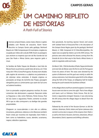 I
mensos campos limpos, vastas matas ciliares e capões
isolados com floresta de araucária. Assim foram
descritos os Campos Gerais pelo geólogo, Reinhard
Maack,em1948.Compostapor23municípios,aregiãoera
ocupada por índios até o século XVIII. Foram as pastagens
que atraíram os tropeiros que iam do Rio Grande do Sul
para São Paulo e Minas Gerais, para negociar gado e
muar.
As famílias de Pedro Taques de Almeida e José Góis de
Morais foram as primeiras a pedir lotes de terras, em 19 de
março de 1704, à Coroa Portuguesa. As áreas eram doadas
pelo regime de sesmarias e o objetivo era justamente o
de colonizar várias extensões. A doação originou as
povoações ao longo do Caminho das Tropas, passagem
obrigatória para os comerciantes que saiam do Sul rumo
ao Sudeste brasileiro.
Com os povoados surgiram pequenos ranchos. As casas
comerciais não demoraram a aparecer. Nasceram então
as freguesias e vilas como Palmeira, Ponta Grossa, Piraí
do Sul, Castro e Jaguariaíva. Porém, somente no século
XIX é que as vilas começaram a se desligar das grandes
propriedades.
Chegaram os russos-alemães e com eles as colônias.
Ucranianos, poloneses, italianos e sírio-libaneses também
foram vindo por incentivo do imperador, Dom Pedro I,
bem como os holandeses, russos, alemães, ucranianos,
negros, caboclos e japoneses.
Vast grasslands, far-reaching riparian forests and woods
with isolated forest of Araucaria.That is the description of
the Campos Gerais Region given by the geologist, Reinhard
Maack, in 1948. Composed of 23 Cities/Municipalities, the
region was occupied by Indians up to the XVIII century. The
pastures were what attracted the drovers coming from Rio
Grande do Sul on their way to São Paulo e Minas Gerais, in
order to negotiate cattle and mules.
OnMarch19th,1704thefamiliesofPedroTaquesdeAlmeida
and José Góis de Morais were the first to ask the Portuguese
Crown for pieces of land. The areas were donated by the
system of allotments and the goal was mainly to settle the
various extensions. Such donations gave birth to the villages
along the Path of the Troops, an obligatory halt for traders
leaving the south towards the Southeast of Brazil.
Inthevillagestheresmallhutsstartedtoappear.Commercial
houses were not slow to come into sight. That is how villages
and towns such as Palmeira, Ponta Grossa, Piraí do Sul,
Castro e Jaguariaíva emerged. However, it was only during
the XIX century that the villages begun to detach from the
large estates.
Followed by the arrival of the Russian-German so did the
colonies. Ukrainian, Polish, Italian and Syrian-Lebanese also
started to arrive due to request of the emperor Dom Pedro I,
as well as the Dutch, Russians, Germans, Ukrainians, African
Descendents, Dutch, Japanese and shifting cultivators.
CAMPOS GERAIS
Um caminho repleto
de histórias
A Path Full of Stories
06
 