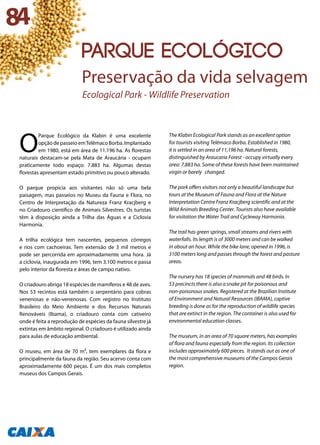 O
Parque Ecológico da Klabin é uma excelente
opçãodepasseioemTelêmacoBorba.Implantado
em 1980, está em área de 11.196 ha. As florestas
naturais destacam-se pela Mata de Araucária - ocupam
praticamente todo espaço: 7.883 ha. Algumas destas
florestas apresentam estado primitivo ou pouco alterado.
O parque propicia aos visitantes não só uma bela
paisagem, mas passeios no Museu da Fauna e Flora, no
Centro de Interpretação da Natureza Franz Kracjberg e
no Criadouro científico de Animais Silvestres. Os turistas
têm à disposição ainda a Trilha das Águas e a Ciclovia
Harmonia.
A trilha ecológica tem nascentes, pequenos córregos
e rios com cachoeiras. Tem extensão de 3 mil metros e
pode ser percorrida em aproximadamente uma hora. Já
a ciclovia, inaugurada em 1996, tem 3.100 metros e passa
pelo interior da floresta e áreas de campo nativo.
O criadouro abriga 18 espécies de mamíferos e 48 de aves.
Nos 53 recintos está também o serpentário para cobras
venenosas e não-venenosas. Com registro no Instituto
Brasileiro do Meio Ambiente e dos Recursos Naturais
Renováveis (Ibama), o criadouro conta com cativeiro
onde é feita a reprodução de espécies da fauna silvestre já
extintas em âmbito regional. O criadouro é utilizado ainda
para aulas de educação ambiental.
O museu, em área de 70 m², tem exemplares da flora e
principalmente da fauna da região. Seu acervo conta com
aproximadamente 600 peças. É um dos mais completos
museus dos Campos Gerais.
The Klabin Ecological Park stands as an excellent option
for tourists visiting Telêmaco Borba. Established in 1980,
it is settled in an area of 11,196 ha. Natural forests,
distinguished by Araucaria Forest - occupy virtually every
area: 7,883 ha. Some of these forests have been maintained
virgin or barely changed.
The park offers visitors not only a beautiful landscape but
tours at the Museum of Fauna and Flora at the Nature
Interpretation Centre Franz Kracjberg scientific and at the
Wild Animals Breeding Center. Tourists also have available
for visitation the Water Trail and Cycleway Harmonia.
The trail has green springs, small streams and rivers with
waterfalls. Its length is of 3000 meters and can be walked
in about an hour. While the bike lane, opened in 1996, is
3100 meters long and passes through the forest and pasture
areas.
The nursery has 18 species of mammals and 48 birds. In
53 precincts there is also a snake pit for poisonous and
non-poisonous snakes. Registered at the Brazilian Institute
of Environment and Natural Resources (IBAMA), captive
breeding is done as for the reproduction of wildlife species
that are extinct in the region. The container is also used for
environmental education classes.
The museum, in an area of 70 square meters, has examples
of flora and fauna especially from the region. Its collection
includes approximately 600 pieces. It stands out as one of
the most comprehensive museums of the Campos Gerais
region.
84
PARQUE ECOLÓGICO
Preservação da vida selvagem
Ecological Park - Wildlife Preservation
 