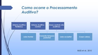 Como ocorre o Processamento
Auditivo?
Sistema Auditivo
Periférico;
Sistema Auditivo
Central
Áreas centrais não
auditivas:
Lobo frontal;
Conexão temporo-
pariental;
Lobo occipital; Corpo caloso.
BUSS et al., 2010
 