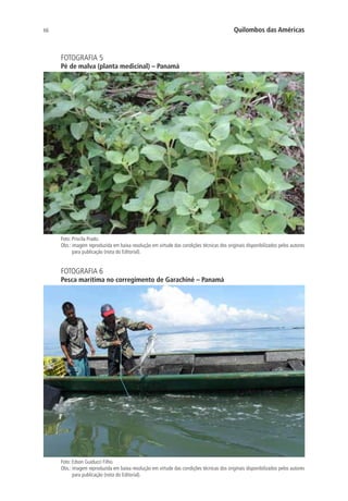 66 Quilombos das Américas
FOTOGRAFIA 5
Pé de malva (planta medicinal) – Panamá
Foto: Priscila Prado.
Obs.: imagem reproduzida em baixa resolução em virtude das condições técnicas dos originais disponibilizados pelos autores
para publicação (nota do Editorial).
FOTOGRAFIA 6
Pesca marítima no corregimento de Garachiné – Panamá
Foto: Edson Guiducci Filho.
Obs.: imagem reproduzida em baixa resolução em virtude das condições técnicas dos originais disponibilizados pelos autores
para publicação (nota do Editorial).
 