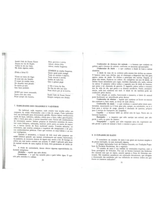 Retalhos do meu Sertão