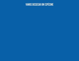 VAMOS DISSECAR UM ESPÉCIME

 