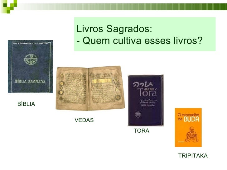 Livros Sagrados Tirados Mão Das Religiões Do Mundo Do Estilo Da Tinta Do Vetor Ajustados