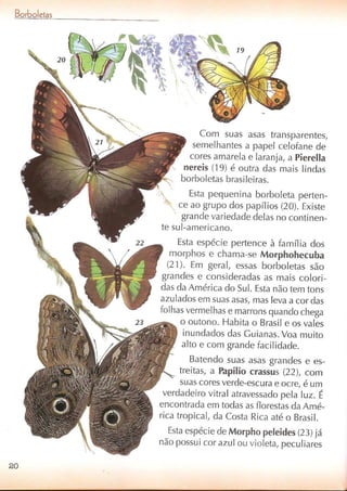 Livro sobre borboletas | PDF