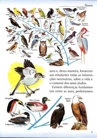 Livro sobre pássaros