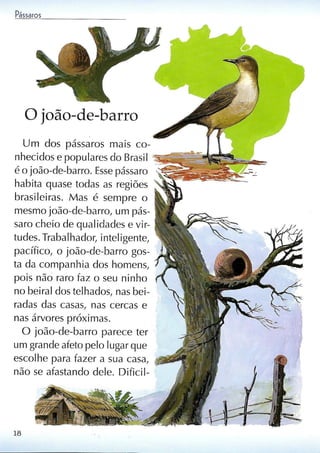 Livro sobre pássaros