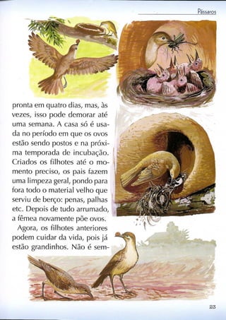 Livro sobre pássaros