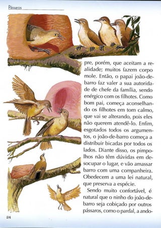 Livro sobre pássaros