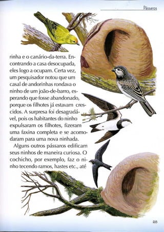 Livro sobre pássaros