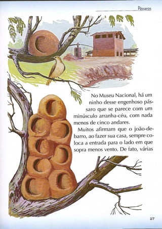 Livro sobre pássaros