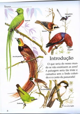 Livro sobre pássaros