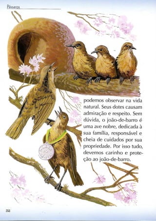 Livro sobre pássaros