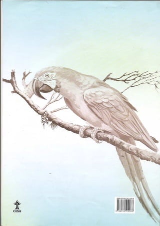 Livro sobre pássaros