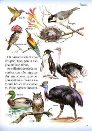 Livro sobre pássaros