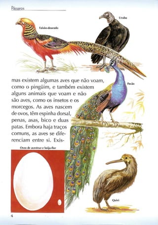 Livro sobre pássaros