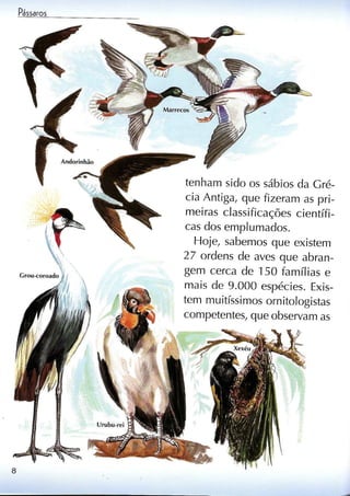 Livro sobre pássaros