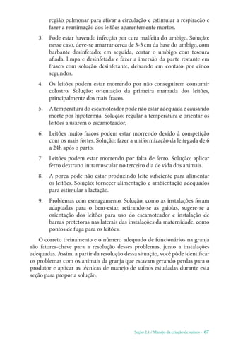 Seção 2.1 / Manejo da criação de suínos - 67
região pulmonar para ativar a circulação e estimular a respiração e
fazer a reanimação dos leitões aparentemente mortos.
3. Pode estar havendo infecção por cura malfeita do umbigo. Solução:
nesse caso, deve-se amarrar cerca de 3-5 cm da base do umbigo, com
barbante desinfetado; em seguida, cortar o umbigo com tesoura
afiada, limpa e desinfetada e fazer a imersão da parte restante em
frasco com solução desinfetante, deixando em contato por cinco
segundos.
4. Os leitões podem estar morrendo por não conseguirem consumir
colostro. Solução: orientação da primeira mamada dos leitões,
principalmente dos mais fracos.
5. A temperatura do escamoteador pode não estar adequada e causando
morte por hipotermia. Solução: regular a temperatura e orientar os
leitões a usarem o escamoteador.
6. Leitões muito fracos podem estar morrendo devido à competição
com os mais fortes. Solução: fazer a uniformização da leitegada de 6
a 24h após o parto.
7. Leitões podem estar morrendo por falta de ferro. Solução: aplicar
ferro dextrano intramuscular no terceiro dia de vida dos animais.
8. A porca pode não estar produzindo leite suficiente para alimentar
os leitões. Solução: fornecer alimentação e ambientação adequados
para estimular a lactação.
9. Problemas com esmagamento. Solução: como as instalações foram
adaptadas para o bem-estar, retirando-se as gaiolas, sugere-se a
orientação dos leitões para uso do escamoteador e instalação de
barras protetoras nas laterais das instalações da maternidade, como
pontos de fuga para os leitões.
O correto treinamento e o número adequado de funcionários na granja
são fatores-chave para a resolução desses problemas, junto a instalações
adequadas. Assim, a partir da resolução dessa situação, você pôde identificar
os problemas com os animais da granja que estavam gerando perdas para o
produtor e aplicar as técnicas de manejo de suínos estudadas durante esta
seção para propor a solução.
 
