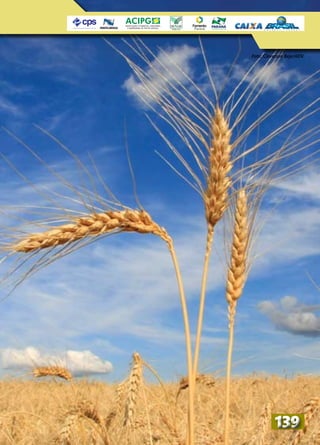 Foto: Cleverson Beje/AEN
139139
 