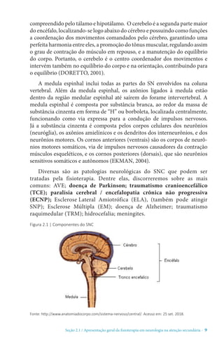 Seção 2.1 / Apresentação geral da fisioterapia em neurologia na atenção secundári - 9
Figura 2.1 | Componentes do SNC
Fonte: http://www.anatomiadocorpo.com/sistema-nervoso/central/. Acesso em: 25 set. 2018.
compreendido pelo tálamo e hipotálamo. O cerebelo é a segunda parte maior
do encéfalo, localizando-se logo abaixo do cérebro e possuindo como funções
a coordenação dos movimentos comandados pelo cérebro, garantindo uma
perfeita harmonia entre eles, a promoção do tônus muscular, regulando assim
o grau de contração do músculo em repouso, e a manutenção do equilíbrio
do corpo. Portanto, o cerebelo é o centro coordenador dos movimentos e
intervém também no equilíbrio do corpo e na orientação, contribuindo para
o equilíbrio (DORETTO, 2001).
A medula espinhal inclui todas as partes do SN envolvidos na coluna
vertebral. Além da medula espinhal, os axônios ligados à medula estão
dentro da região medular espinhal até saírem do forame intervertebral. A
medula espinhal é composta por substância branca, ao redor da massa de
substância cinzenta em forma de “H” ou borboleta, localizada centralmente,
funcionando como via expressa para a condução de impulsos nervosos.
Já a substância cinzenta é composta pelos corpos celulares dos neurônios
(neuróglia), os axônios amielínicos e os dendritos dos interneurônios, e dos
neurônios motores. Os cornos anteriores (ventrais) são os corpos de neurô-
nios motores somáticos, via de impulsos nervosos causadores da contração
músculos esqueléticos, e os cornos posteriores (dorsais), que são neurônios
sensitivos somáticos e autônomos (EKMAN, 2004).
Diversas são as patologias neurológicas do SNC que podem ser
tratadas pela fisioterapia. Dentre elas, discorreremos sobre as mais
comuns: AVE; doença de Parkinson; traumatismo cranioencefálico
(TCE); paralisia cerebral / encefalopatia crônica não progressiva
(ECNP); Esclerose Lateral Amiotrófica (ELA), (também pode atingir
SNP); Esclerose Múltipla (EM); doença de Alzheimer; traumatismo
raquimedular (TRM); hidrocefalia; meningites.
 