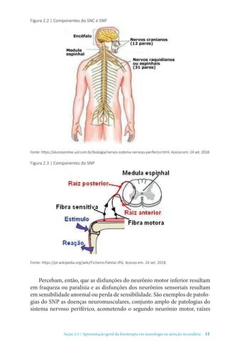 Seção 2.1 / Apresentação geral da fisioterapia em neurologia na atenção secundári - 11
Percebam, então, que as disfunções do neurônio motor inferior resultam
em fraqueza ou paralisia e as disfunções dos neurônios sensoriais resultam
em sensibilidade anormal ou perda de sensibilidade. São exemplos de patolo-
gias do SNP as doenças neuromusculares, conjunto amplo de patologias do
sistema nervoso periférico, acometendo o segundo neurónio motor, raízes
Figura 2.2 | Componentes do SNC e SNP
Fonte: https://alunosonline.uol.com.br/biologia/nervos-sistema-nervoso-periferico.html. Acesso em: 24 set. 2018.
Figura 2.3 | Componentes do SNP
Fonte: https://pt.wikipedia.org/wiki/Ficheiro:Patelar.JPG. Acesso em: 24 set. 2018.
 