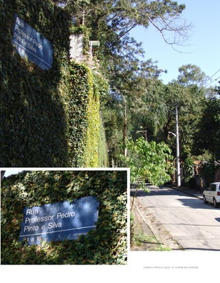 u   1




FAMÍLiA pintO E SiLVA   u   O dOM dE EnSinAR
 