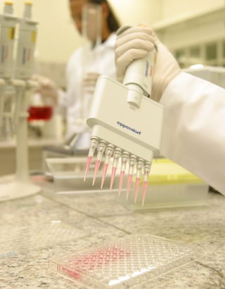 u   




FAMÍLiA pintO E SiLVA   u   O dOM dE EnSinAR
 