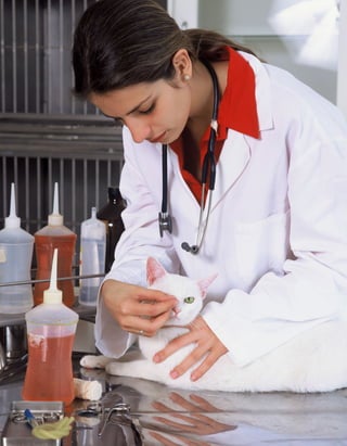 u   8




FAMÍLiA pintO E SiLVA   u   O dOM dE EnSinAR
 