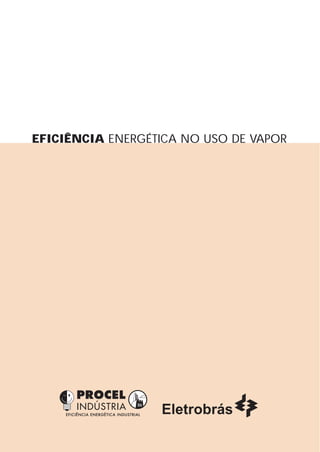 EFICIÊNCIA ENERGÉTICA NO USO DE VAPOR
 