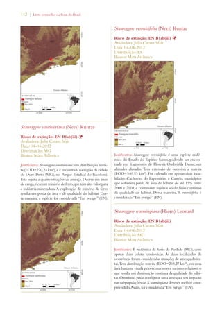112 | Livro vermelho da flora do Brasil 
Staurogyne vauthieriana (Nees) Kuntze 
Risco de extinção: EN B1ab(iii) Þ 
Avaliadora: Julia Caram Sfair 
Data: 04-04-2012 
Distribuição: MG 
Bioma: Mata Atlântica 
Justificativa: Staurogyne vauthieriana tem distribuição restri-ta 
(EOO=270,24 km²), e é encontrada na região da cidade 
de Ouro Preto (MG), no Parque Estadual do Itacolomi. 
Está sujeita a quatro situações de ameaça. Ocorre em áreas 
de canga, ricas em minério de ferro, que tem alto valor para 
a indústria mineradora. A exploração de minério de ferro 
resulta em perda de área e de qualidade do hábitat. Des-sa 
maneira, a espécie foi considerada “Em perigo” (EN). 
Staurogyne veronicifolia (Nees) Kuntze 
Risco de extinção: EN B1ab(iii) Þ 
Avaliadora: Julia Caram Sfair 
Data: 04-04-2012 
Distribuição: ES 
Bioma: Mata Atlântica 
Justificativa: Staurogyne veronicifolia é uma espécie endê-mica 
do Estado do Espírito Santo, podendo ser encon-trada 
em fragmentos de Floresta Ombrófila Densa, em 
altitudes elevadas. Tem extensão de ocorrência restrita 
(EOO=540,93 km²). Foi coletada em apenas duas loca-lidades: 
Cachoeira do Itapemirim e Castelo, municípios 
que sofreram perda de área de hábitat de até 15% entre 
2008 e 2010, e continuam sujeitos ao declínio contínuo 
da qualidade de hábitat. Dessa maneira, S. veronicifolia é 
considerada “Em perigo” (EN). 
Staurogyne warmingiana (Hiern) Leonard 
Risco de extinção: EN B1ab(iii) 
Avaliadora: Julia Caram Sfair 
Data: 04-04-2012 
Distribuição: MG 
Bioma: Mata Atlântica 
Justificativa: É endêmica da Serra da Piedade (MG), com 
apenas duas coletas conhecidas. As duas localidades de 
ocorrência foram consideradas situações de ameaça distin-tas. 
Tem distribuição restrita (EOO=269,27 km²), em uma 
área bastante visada pelo ecoturismo e turismo religioso, o 
que resulta em diminuição contínua da qualidade do hábi-tat. 
O turismo pode configurar uma ameaça e seu impacto 
nas subpopulações de S. warmingiana deve ser melhor com-preendido. 
Assim, foi considerada “Em perigo” (EN). 
 
