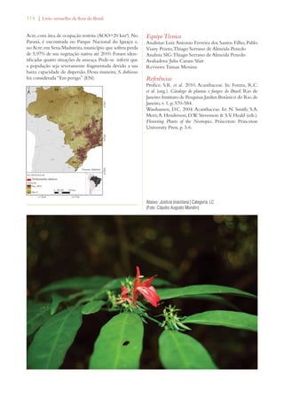 114 | Livro vermelho da flora do Brasil 
Acre, com área de ocupação restrita (AOO=20 km²). No 
Paraná, é encontrada no Parque Nacional do Iguaçu e, 
no Acre, em Sena Madureira, município que sofreu perda 
de 5,97% de sua vegetação nativa até 2010. Foram iden-tificadas 
quatro situações de ameaça. Pode-se inferir que 
a população seja severamente fragmentada devido a sua 
baixa capacidade de dispersão. Dessa maneira, S. dubiosus 
foi considerada “Em perigo” (EN). 
Equipe Técnica 
Analistas: Luiz Antonio Ferreira dos Santos Filho, Pablo 
Viany Prieto, Thiago Serrano de Almeida Penedo 
Analista SIG: Thiago Serrano de Almeida Penedo 
Avaliadora: Julia Caram Sfair 
Revisora: Tainan Messina 
Referências 
Profice, S.R. et al. 2010. Acanthaceae. In: Forzza, R.C. 
et al. (org.). Cátalogo de plantas e fungos do Brasil. Rio de 
Janeiro: Instituto de Pesquisas Jardim Botânico do Rio de 
Janeiro, v. 1, p. 570-584. 
Wasshausen, D.C. 2004. Acanthaceae. In: N. Smith; S.A. 
Mori; A. Henderson; D.W. Stevenson  S.V. Heald (eds.). 
Flowering Plants of the Neotropics. Princeton: Princeton 
University Press, p. 3-6. 
Abaixo: Justicia brasiliana | Categoria: LC 
(Foto: Cláudio Augusto Mondin) 
 