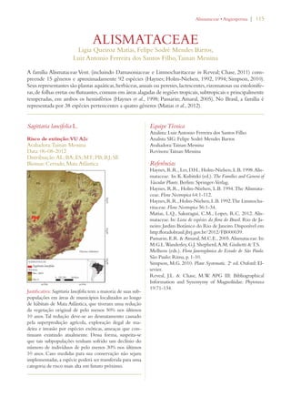 | 115 
!LISMATACEAEs!NGIOSPERMA 
Ligia Queiroz Matias, Felipe Sodré Mendes Barros, 
Luiz Antonio Ferreira dos Santos Filho, Tainan Messina 
A família Alismataceae Vent. (incluindo Damasoniaceae e Limnocharitaceae in Reveal; Chase, 2011) com-preende 
15 gêneros e aproximadamente 92 espécies (Haynes; Holm-Nielsen, 1992, 1994; Simpson, 2010). 
Seus representantes são plantas aquáticas, herbáceas, anuais ou perenes, lactescentes, rizomatosas ou estolonífe-ras, 
de folhas eretas ou flutuantes, comuns em áreas alagadas de regiões tropicais, subtropicais e principalmente 
temperadas, em ambos os hemisférios (Haynes et al., 1998; Pansarin; Amaral, 2005). No Brasil, a família é 
representada por 38 espécies pertencentes a quatro gêneros (Matias et al., 2012). 
Sagittaria lancifolia L. 
ALISMATACEAE 
Risco de extinção: VU A2c 
Avaliadora: Tainan Messina 
Data: 06-08-2012 
Distribuição: AL; BA; ES; MT; PB; RJ; SE 
Biomas: Cerrado, Mata Atlântica 
Justificativa: Sagittaria lancifolia tem a maioria de suas sub-populações 
em áreas de municípios localizados ao longo 
de hábitats de Mata Atlântica, que tiveram uma redução 
da vegetação original de pelo menos 50% nos últimos 
10 anos. Tal redução deve-se ao desmatamento causado 
pela superprodução agrícola, exploração ilegal de ma-deira 
e invasão por espécies exóticas, ameaças que con-tinuam 
existindo atualmente. Dessa forma, suspeita-se 
que tais subpopulações tenham sofrido um declínio do 
número de indivíduos de pelo menos 30% nos últimos 
10 anos. Caso medidas para sua conservação não sejam 
implementadas, a espécie poderá ser transferida para uma 
categoria de risco mais alta em futuro próximo. 
Equipe Técnica 
Analista: Luiz Antonio Ferreira dos Santos Filho 
Analista SIG: Felipe Sodré Mendes Barros 
Avaliadora: Tainan Messina 
Revisora: Tainan Messina 
Referências 
Haynes, R.R., Les, D.H., Holm-Nielsen, L.B. 1998. Alis-mataceae. 
In: K. Kubitzki (ed.). The Families and Genera of 
Vascular Plants. Berlim: Springer-Verlag. 
Haynes, R.R., Holm-Nielsen, L.B. 1994. The Alismata-ceae. 
Flora Neotropica 64:1-112. 
Haynes, R.R., Holm-Nielsen, L.B. 1992. The Limnocha-ritaceae. 
Flora Neotropica 56:1-34. 
Matias, L.Q., Sakuragui, C.M., Lopes, R.C. 2012. Alis-mataceae. 
In: Lista de espécies da flora do Brasil. Rio de Ja-neiro: 
Jardim Botânico do Rio de Janeiro. Disponível em 
http:floradobrasil.jbrj.gov.br/2012/FB000039. 
Pansarin, E.R.  Amaral, M.C.E., 2005. Alismataceae. In: 
M.G.L. Wanderley, G.J. Shepherd, A.M. Giulietti  T.S. 
Melhem (eds.). Flora fanerogâmica do Estado de São Paulo. 
São Paulo: Rima, p. 1-10. 
Simpson, M.G. 2010. Plant Systematic. 2a ed. Oxford: El-sevier. 
Reveal, J.L.  Chase, M.W. APG III: Bibliographical 
Information and Synonymy of Magnoliidae. Phytotaxa 
19:71-134. 
 