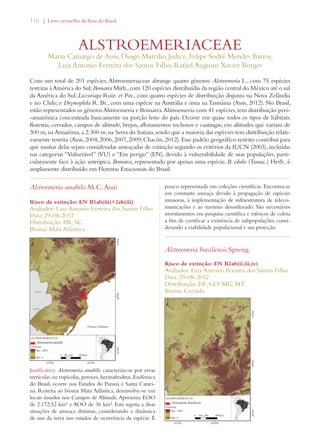 116 | Livro vermelho da flora do Brasil 
ALSTROEMERIACEAE 
Marta Camargo de Assis, Diogo Marcilio Judice, Felipe Sodré Mendes Barros, 
Luiz Antonio Ferreira dos Santos Filho, Rafael Augusto Xavier Borges 
Com um total de 201 espécies, Alstroemeriaceae abrange quatro gêneros: Alstroemeria L., com 75 espécies 
restritas à América do Sul; Bomarea Mirb., com 120 espécies distribuídas da região central do México até o sul 
da América do Sul; Luzuriaga Ruiz. et Pav., com quatro espécies de distribuição disjunta na Nova Zelândia 
e no Chile; e Drymophila R. Br., com uma espécie na Austrália e uma na Tasmânia (Assis, 2012). No Brasil, 
estão representados os gêneros Alstroemeria e Bomarea. Alstroemeria com 41 espécies, tem distribuição peri- 
-amazônica concentrada basicamente na porção leste do país. Ocorre em quase todos os tipos de hábitats: 
florestas, cerrados, campos de altitude, brejos, afloramentos rochosos e caatingas, em altitudes que variam de 
300 m, na Amazônia, a 2.300 m, na Serra do Itatiaia, sendo que a maioria das espécies tem distribuição relati-vamente 
restrita (Assis, 2004, 2006, 2007, 2009; Chacón, 2012). Esse padrão geográfico restrito contribui para 
que muitas delas sejam consideradas ameaçadas de extinção segundo os critérios da IUCN (2003), incluídas 
nas categorias “Vulnerável” (VU) e “Em perigo” (EN), devido à vulnerabilidade de suas populações, parti-cularmente 
face à ação antrópica. Bomarea, representado por apenas uma espécie, B. edulis (Tussac.) Herb., é 
amplamente distribuído em Florestas Estacionais do Brasil. 
Alstroemeria amabilis M.C. Assis 
Risco de extinção: EN B1ab(iii)+2ab(iii) 
Avaliador: Luiz Antonio Ferreira dos Santos Filho 
Data: 29-08-2012 
Distribuição: PR; SC 
Bioma: Mata Atlântica 
Justificativa: Alstroemeria amabilis caracteriza-se por ervas 
terrícolas ou rupícolas, perenes, hermafroditas. Endêmica 
do Brasil, ocorre nos Estados do Paraná e Santa Catari-na. 
Restrita ao bioma Mata Atlântica, desenvolve-se em 
locais úmidos nos Campos de Altitude. Apresenta EOO 
de 2.172,52 km² e AOO de 36 km². Está sujeita a duas 
situações de ameaça distintas, considerando a dinâmica 
de uso da terra nos estados de ocorrência da espécie. É 
pouco representada em coleções científicas. Encontra-se 
em constante ameaça devido à propagação de espécies 
invasoras, à implementação de infraestrutura de teleco-municações 
e ao turismo desordenado. São necessários 
investimentos em pesquisa científica e esforços de coleta 
a fim de certificar a existência de subpopulações, consi-derando 
a viabilidade populacional e sua proteção. 
Alstroemeria brasiliensis Spreng. 
Risco de extinção: EN B2ab(ii,iii,iv) 
Avaliador: Luiz Antonio Ferreira dos Santos Filho 
Data: 29-08-2012 
Distribuição: DF; GO; MG; MT 
Bioma: Cerrado 
 