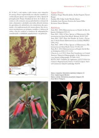 | 119 
de 16 km², e está sujeita a pelo menos cinco situações 
de ameaça. Pouco representada em coleções científicas, é 
conhecida por apenas cinco registros de coleta. Apesar de 
protegida pelo Parque Estadual da Serra do Cabral, en-contra- 
se sob constante ameaça pela histórica extração de 
ouro e diamantes e atividades associadas, além do turismo, 
da agricultura de subsistência, do extrativismo, das quei-madas 
e da implementação de monoculturas. São neces-sários 
investimentos em pesquisa científica e esforços de 
coleta a fim de certificar a existência de subpopulações, 
considerando a viabilidade populacional e sua proteção. 
!LSTROEMERIACEAEs!NGIOSPERMA 
Equipe Técnica 
Analistas: Diogo Marcilio Judice, Rafael Augusto Xavier 
Borges 
Analista SIG: Felipe Sodré Mendes Barros 
Avaliador: Luiz Antonio Ferreira dos Santos Filho 
Revisora: Tainan Messina 
Referências 
Assis, M.C. 2004. Alstroemeriaceae no Estado do Rio de 
Janeiro. Rodriguésia 55:5-15. 
Assis, M.C. 2006. A New Species of Alstroemeria (Als-troemeriaceae) 
from Pará, Brazil. Brittonia 58:267-269. 
Assis, M.C. 2007. Flora dos Estados de Goiás e Tocan-tins. 
Coleção Rizzo: Alstroemeriaceae. Goiânia: PRPPG/ 
UFG, 49 p. 
Assis, M.C. 2009. A New Species of Alstroemeria (Als-troemeriaceae) 
from Brazil. Novon 19:145-149. 
Assis, M. C. 2012. Alstromeriaceae na Região Sul do Bra-sil. 
Rodriguésia 63(4):1117-1132. 
Chacón, J. et al. 2012. From East Gondwana to Central 
America: Historical Biogeography of the Alstroemeria-ceae. 
Journal of Biogeography 39:1806-1818 
IUCN. 2003. Guidelines for Application of IUCN Red List 
Criteria at Regional Levels: Version 3.0. IUCN Species Survi-val 
Commission. Gland-Cambridge: IUCN. 
Abaixo, à esquerda: Alstroemeria isabellana | Categoria: LC 
(Foto: Claúdio Augusto Mondin) 
Abaixo, à direita: Alstroemeria caryophylla | Categoria: EN 
(Foto: M.O.O. Pellegrini) 
 