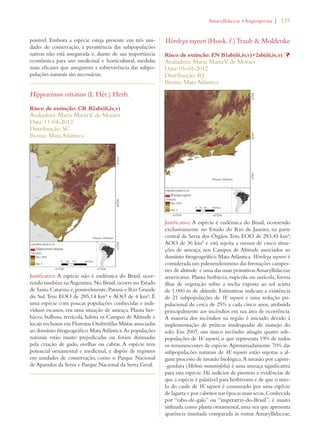 | 135 
ponível. Embora a espécie esteja presente em três uni-dades 
de conservação, a persistência das subpopulações 
nativas não está assegurada e, diante de sua importância 
econômica para uso medicinal e horticultural, medidas 
mais eficazes que assegurem a sobrevivência das subpo-pulações 
naturais são necessárias. 
Hippeastrum vittatum (L Hér.) Herb. 
Risco de extinção: CR B2ab(iii,iv,v) 
Avaliadora: Maria Marta V. de Moraes 
Data: 11-04-2012 
Distribuição: SC 
Bioma: Mata Atlântica 
Justificativa: A espécie não é endêmica do Brasil, ocor-rendo 
também na Argentina. No Brasil, ocorre no Estado 
de Santa Catarina e, possivelmente, Paraná e Rio Grande 
do Sul. Tem EOO de 285,14 km² e AOO de 4 km². É 
uma espécie com poucas populações conhecidas e indi-víduos 
escassos, em uma situação de ameaça. Planta her-bácea, 
bulbosa, terrícola, habita os Campos de Altitude e 
locais rochosos em Florestas Ombrófilas Mistas associadas 
ao domínio fitogeográfico Mata Atlântica. As populações 
naturais estão muito prejudicadas ou foram dizimadas 
pela criação de gado, ovelhas ou cabras. A espécie tem 
potencial ornamental e medicinal, e dispõe de registros 
em unidades de conservação, como o Parque Nacional 
de Aparados da Serra e Parque Nacional da Serra Geral. 
!MARYLLIDACEAEs!NGIOSPERMA 
Worsleya rayneri (Hook. f.) Traub  Moldenke 
Risco de extinção: EN B1ab(iii,iv,v)+2ab(iii,iv,v) Þ 
Avaliadora: Maria Marta V. de Moraes 
Data: 05-04-2012 
Distribuição: RJ 
Bioma: Mata Atlântica 
Justificativa: A espécie é endêmica do Brasil, ocorrendo 
exclusivamente no Estado do Rio de Janeiro, na parte 
central da Serra dos Órgãos. Tem EOO de 283,45 km²; 
AOO de 36 km² e está sujeita a menos de cinco situa-ções 
de ameaça, nos Campos de Altitude associados ao 
domínio fitogeográfico Mata Atlântica. Worsleya rayneri é 
considerada um paleoendemismo das formações campes-tres 
de altitude e uma das mais primitivas Amaryllidaceae 
americanas. Planta herbácea, rupícola ou saxícola, forma 
ilhas de vegetação sobre a rocha exposta ao sol acima 
de 1.000 m de altitude. Estimativas indicam a existência 
de 21 subpopulações de W. rayneri e uma redução po-pulacional 
de cerca de 25% a cada cinco anos, atribuída 
principalmente aos incêndios em sua área de ocorrência. 
A maioria dos incêndios na região é iniciado devido à 
implementação de práticas inadequadas de manejo do 
solo. Em 2007, um único incêndio atingiu quatro sub-populações 
de W. rayneri, o que representa 19% de todos 
os remanescentes da espécie. Aproximadamente 70% das 
subpopulações naturais de W. rayneri estão sujeitas a al-gum 
processo de invasão biológica. A invasão por capim- 
-gordura (Melinis minutiufolia) é uma ameaça significativa 
para esta espécie. Há indícios de pisoteio e evidências de 
que a espécie é palatável para herbívoros e de que o mio-lo 
do caule de W. rayneri é consumido por uma espécie 
de lagarta e por cabritos nas épocas mais secas. Conhecida 
por “rabo-de-galo” ou “imperatriz-do-Brasil”, é muito 
utilizada como planta ornamental, uma vez que apresenta 
aparência inusitada comparada às outras Amaryllidaceae, 
 