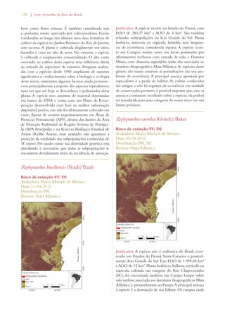 136 | Livro vermelho da flora do Brasil 
bem como flores vistosas. É também considerada rara 
e, portanto, muito apreciada por colecionadores. Foram 
conduzidas ao longo dos últimos anos duas tentativas de 
cultivo da espécie no Jardim Botânico do Rio de Janeiro, 
sem sucesso. A planta é cultivada ilegalmente em sítios, 
fazendas e casas no alto da serra. No exterior, a espécie 
é cultivada e amplamente comercializada. O alto custo 
associado ao cultivo desta espécie tem influência direta 
na retirada de espécimes da natureza. Pesquisas realiza-das 
com a espécies desde 1984 ampliaram de maneira 
significativa o conhecimento sobre a biologia e ecologia 
deste táxon, entretanto, algumas lacunas ainda permane-cem, 
principalmente a respeito dos aspectos reprodutivos, 
uma vez que até hoje se desconhece o polinizador dessa 
planta. A espécie tem amostras de material depositadas 
em banco de DNA e conta com um Plano de Recu-peração 
desenvolvido com base na melhor informação 
disponível, porém, este não foi efetivamente colocado em 
curso. Apesar de ocorrer majoritariamente em Áreas de 
Proteção Permanente (APP), dentro dos limites da Área 
de Proteção Ambiental da Região Serrana de Petrópo-lis 
(APA Petrópolis) e na Reserva Biológica Estadual de 
Araras (ReBio Araras), essas unidades não garantem a 
proteção da totalidade das subpopulações conhecidas de 
W. rayneri. Do modo como sua diversidade genética está 
distribuída, é necessário que todas as subpopulações se 
encontrem devidamente livres da incidência de ameaças. 
Zephyranthes brasiliensis (Traub) Traub 
Risco de extinção: VU D2 
Avaliadora: Maria Marta V. de Moraes 
Data: 11-04-2012 
Distribuição: PR 
Biomas: Mata Atlântica 
Justificativa: A espécie ocorre no Estado do Paraná, com 
EOO de 280,27 km² e AOO de 4 km². São também 
relatadas subpopulações no Rio Grande do Sul. Planta 
herbácea, terrícola ou rupícola, heliófila, tem frequên-cia 
de ocorrência considerada esparsa. A espécie ocor-re 
em Campos, muitas vezes em locais pontuados por 
afloramentos rochosos com camada de solo, e Florestas 
Mistas, com Araucaria angustifolia, todas elas associadas ao 
domínio fitogeográfico Mata Atlântica. As espécies deste 
gênero são muito sensíveis às perturbações em seu am-biente 
de ocorrência. A principal ameaça apontada por 
especialistas é a perda de hábitat. As coletas conhecidas 
são antigas, e não há registros de ocorrência em unidade 
de conservação; portanto, é possível suspeitar que, caso as 
ameaças continuem incidindo sobre a espécie, ela poderá 
ser transferida para uma categoria de maior risco em um 
futuro próximo. 
Zephyranthes caerulea (Griseb.) Baker 
Risco de extinção: VU D2 
Avaliadora: Maria Marta V. de Moraes 
Data: 05-04-2012 
Distribuição: PR; SC 
Biomas: Mata Atlântica 
Justificativa: A espécie não é endêmica do Brasil, ocor-rendo 
nos Estados do Paraná, Santa Catarina e, possivel-mente, 
Rio Grande do Sul. Tem EOO de 1.959,68 km² 
e AOO de 12 km². Planta herbácea, bulbosa, terrícola ou 
rupícola, coletada nas margens do Rio Chapecozinho 
(SC), foi encontrada também em Campo Limpo sobre 
solo turfoso, associado aos domínios fitogeográficos Mata 
Atlântica e, provavelmente, ao Pampa. A principal ameaça 
à espécie é a destruição de seu hábitat. Os campos onde 
 