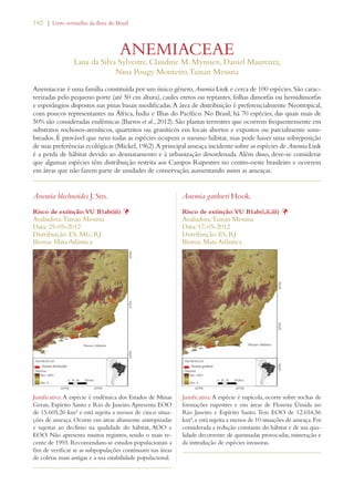 142 | Livro vermelho da flora do Brasil 
ANEMIACEAE 
Lana da Silva Sylvestre, Claudine M. Mynssen, Daniel Maurenza, 
Nina Pougy Monteiro, Tainan Messina 
Anemiaceae é uma família constituída por um único gênero, Anemia Link e cerca de 100 espécies. São carac-terizadas 
pelo pequeno porte (até 50 cm altura), caules eretos ou reptantes, folhas dimorfas ou hemidimorfas 
e esporângios dispostos nas pinas basais modificadas. A área de distribuição é preferencialmente Neotropical, 
com poucos representantes na África, Índia e Ilhas do Pacífico. No Brasil, há 70 espécies, das quais mais de 
50% são consideradas endêmicas (Barros et al., 2012). São plantas terrestres que ocorrem frequentemente em 
substratos rochosos-areníticos, quartzitos ou graníticos em locais abertos e expostos ou parcialmente som-breados. 
É provável que nem todas as espécies ocupem o mesmo hábitat, mas pode haver uma sobreposição 
de suas preferências ecológicas (Mickel, 1962). A principal ameaça incidente sobre as espécies de Anemia Link 
é a perda de hábitat devido ao desmatamento e à urbanização desordenada. Além disso, deve-se considerar 
que algumas espécies têm distribuição restrita aos Campos Rupestres no centro-oeste brasileiro e ocorrem 
em áreas que não fazem parte de unidades de conservação, aumentando assim as ameaças. 
Anemia blechnoides J. Sm. 
Risco de extinção: VU B1ab(iii) Þ 
Avaliadora: Tainan Messina 
Data: 25-05-2012 
Distribuição: ES; MG; RJ 
Bioma: Mata Atlântica 
Justificativa: A espécie é endêmica dos Estados de Minas 
Gerais, Espírito Santo e Rio de Janeiro. Apresenta EOO 
de 15.605,26 km² e está sujeita a menos de cinco situa-ções 
de ameaça. Ocorre em áreas altamente antropizadas 
e sujeitas ao declínio na qualidade do hábitat, AOO e 
EOO. Não apresenta muitos registros, sendo o mais re-cente 
de 1993. Recomendam-se estudos populacionais a 
fim de verificar se as subpopulações continuam nas áreas 
de coletas mais antigas e a sua estabilidade populacional. 
Anemia gardneri Hook. 
Risco de extinção: VU B1ab(i,ii,iii) Þ 
Avaliadora: Tainan Messina 
Data: 17-05-2012 
Distribuição: ES; RJ 
Bioma: Mata Atlântica 
Justificativa: A espécie é rupícola, ocorre sobre rochas de 
formações rupestres e em áreas de Floresta Úmida no 
Rio Janeiro e Espírito Santo. Tem EOO de 12.654,56 
km², e está sujeita a menos de 10 situações de ameaça. Foi 
considerada a redução constante do hábitat e de sua qua-lidade 
decorrente de queimadas provocadas, mineração e 
da introdução de espécies invasoras. 
 