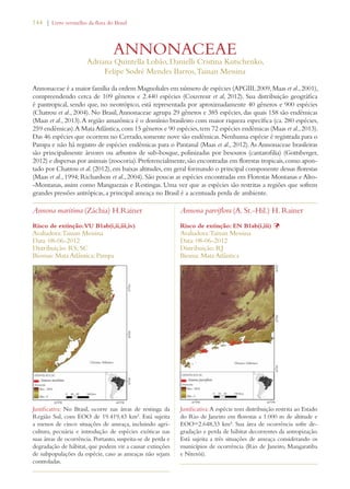 144 | Livro vermelho da flora do Brasil 
ANNONACEAE 
Adriana Quintella Lobão, Danielli Cristina Kutschenko, 
Felipe Sodré Mendes Barros, Tainan Messina 
Annonaceae é a maior família da ordem Magnoliales em número de espécies (APGIII, 2009, Maas et al., 2001), 
compreendendo cerca de 109 gêneros e 2.440 espécies (Couvreur et al, 2012). Sua distribuição geográfica 
é pantropical, sendo que, no neotrópico, está representada por aproximadamente 40 gêneros e 900 espécies 
(Chatrou et al., 2004). No Brasil, Annonaceae agrupa 29 gêneros e 385 espécies, das quais 158 são endêmicas 
(Maas et al., 2013). A região amazônica é o domínio brasileiro com maior riqueza específica (ca. 280 espécies, 
259 endêmicas). A Mata Atlântica, com 15 gêneros e 90 espécies, tem 72 espécies endêmicas (Maas et al., 2013). 
Das 46 espécies que ocorrem no Cerrado, somente nove são endêmicas. Nenhuma espécie é registrada para o 
Pampa e não há registro de espécies endêmicas para o Pantanal (Maas et al., 2012). As Annonaceae brasileiras 
são principalmente árvores ou arbustos de sub-bosque, polinizadas por besouros (cantarofilia) (Gottsberger, 
2012) e dispersas por animais (zoocoria). Preferencialmente, são encontradas em florestas tropicais, como apon-tado 
por Chatrou et al. (2012), em baixas altitudes, em geral formando o principal componente dessas florestas 
(Maas et al., 1994; Richardson et al., 2004). São poucas as espécies encontradas em Florestas Montanas e Alto- 
-Montanas, assim como Manguezais e Restingas. Uma vez que as espécies são restritas a regiões que sofrem 
grandes pressões antrópicas, a principal ameaça no Brasil é a acentuada perda de ambiente. 
Annona maritima (Záchia) H.Rainer 
Risco de extinção: VU B1ab(i,ii,iii,iv) 
Avaliadora: Tainan Messina 
Data: 08-06-2012 
Distribuição: RS; SC 
Biomas: Mata Atlântica; Pampa 
Justificativa: No Brasil, ocorre nas áreas de restinga da 
Região Sul, com EOO de 19.419,43 km². Está sujeita 
a menos de cinco situações de ameaça, incluindo agri-cultura, 
pecuária e introdução de espécies exóticas nas 
suas áreas de ocorrência. Portanto, suspeita-se de perda e 
degradação de hábitat, que podem vir a causar extinções 
de subpopulações da espécie, caso as ameaças não sejam 
controladas. 
Annona parviflora (A. St.-Hil.) H. Rainer 
Risco de extinção: EN B1ab(i,iii) Þ 
Avaliadora: Tainan Messina 
Data: 08-06-2012 
Distribuição: RJ 
Bioma: Mata Atlântica 
Justificativa: A espécie tem distribuição restrita ao Estado 
do Rio de Janeiro em florestas a 1.000 m de altitude e 
EOO=2.648,33 km². Sua área de ocorrência sofre de-gradação 
e perda de hábitat decorrentes da antropização. 
Está sujeita a três situações de ameaça considerando os 
municípios de ocorrência (Rio de Janeiro, Mangaratiba 
e Niterói). 
 