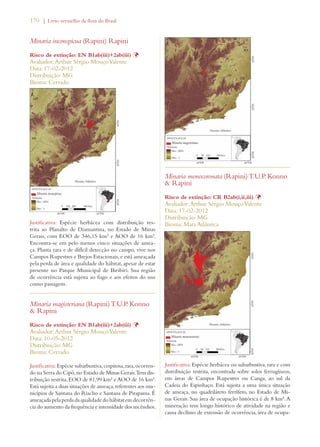 170 | Livro vermelho da flora do Brasil 
Minaria inconspicua (Rapini) Rapini 
Risco de extinção: EN B1ab(iii)+2ab(iii) Þ 
Avaliador: Arthur Sérgio Mouço Valente 
Data: 17-02-2012 
Distribuição: MG 
Bioma: Cerrado 
Justificativa: Espécie herbácea com distribuição res-trita 
ao Planalto de Diamantina, no Estado de Minas 
Gerais, com EOO de 346,15 km² e AOO de 16 km². 
Encontra-se em pelo menos cinco situações de amea-ça. 
Planta rara e de difícil detecção no campo, vive nos 
Campos Rupestres e Brejos Estacionais, e está ameaçada 
pela perda de área e qualidade do hábitat, apesar de estar 
presente no Parque Municipal de Biribiri. Sua região 
de ocorrência está sujeita ao fogo e aos efeitos do uso 
como pastagem. 
Minaria magisteriana (Rapini) T.U.P. Konno 
 Rapini 
Risco de extinção: EN B1ab(iii)+2ab(iii) Þ 
Avaliador: Arthur Sérgio Mouço Valente 
Data: 10-05-2012 
Distribuição: MG 
Bioma: Cerrado 
Justificativa: Espécie subarbustiva, cespitosa, rara, ocorren-do 
na Serra do Cipó, no Estado de Minas Gerais. Tem dis-tribuição 
restrita, EOO de 81,99 km² e AOO de 16 km². 
Está sujeita a duas situações de ameaça, referentes aos mu-nicípios 
de Santana do Riacho e Santana de Pirapama. É 
ameaçada pela perda da qualidade do hábitat em decorrên-cia 
do aumento da frequência e intensidade dos incêndios. 
Minaria monocoronata (Rapini) T.U.P. Konno 
 Rapini 
Risco de extinção: CR B2ab(i,ii,iii) Þ 
Avaliador: Arthur Sérgio Mouço Valente 
Data: 17-02-2012 
Distribuição: MG 
Bioma: Mata Atlântica 
Justificativa: Espécie herbácea ou subarbustiva, rara e com 
distribuição restrita, encontrada sobre solos ferrugíneos, 
em áreas de Campos Rupestres ou Canga, ao sul da 
Cadeia do Espinhaço. Está sujeita a uma única situação 
de ameaça, no quadrilátero ferrífero, no Estado de Mi-nas 
Gerais. Sua área de ocupação histórica é de 8 km². A 
mineração tem longo histórico de atividade na região e 
causa declínio de extensão de ocorrência, área de ocupa- 
 