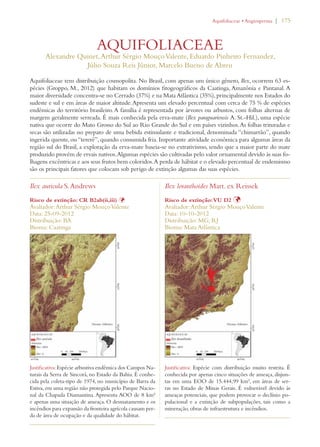 | 175 
!QUIFOLIACEAEs!NGIOSPERMA 
AQUIFOLIACEAE 
Alexandre Quinet, Arthur Sérgio Mouço Valente, Eduardo Pinheiro Fernandez, 
Júlio Souza Reis Júnior, Marcelo Bueno de Abreu 
Aquifoliaceae tem distribuição cosmopolita. No Brasil, com apenas um único gênero, Ilex, ocorrem 63 es-pécies 
(Groppo, M., 2012) que habitam os domínios fitogeográficos da Caatinga, Amazônia e Pantanal. A 
maior diversidade concentra-se no Cerrado (37%) e na Mata Atlântica (35%), principalmente nos Estados do 
sudeste e sul e em áreas de maior altitude. Apresenta um elevado percentual com cerca de 75 % de espécies 
endêmicas do território brasileiro. A família é representada por árvores ou arbustos, com folhas alternas de 
margem geralmente serreada. É mais conhecida pela erva-mate (Ilex paraguariensis A. St.-Hil.), uma espécie 
nativa que ocorre do Mato Grosso do Sul ao Rio Grande do Sul e em países vizinhos. As folhas trituradas e 
secas são utilizadas no preparo de uma bebida estimulante e tradicional, denominada “chimarrão”, quando 
ingerida quente, ou “tererê”, quando consumida fria. Importante atividade econômica para algumas áreas da 
região sul do Brasil, a exploração da erva-mate baseia-se no extrativismo, sendo que a maior parte do mate 
produzido provém de ervais nativos. Algumas espécies são cultivadas pelo valor ornamental devido às suas fo-lhagens 
excêntricas e aos seus frutos bem coloridos. A perda de hábitat e o elevado percentual de endemismo 
são os principais fatores que colocam sob perigo de extinção algumas das suas espécies. 
Ilex auricula S. Andrews 
Risco de extinção: CR B2ab(ii,iii) Þ 
Avaliador: Arthur Sérgio Mouço Valente 
Data: 25-09-2012 
Distribuição: BA 
Bioma: Caatinga 
Justificativa: Espécie arbustiva endêmica dos Campos Na-turais 
da Serra de Sincorá, no Estado da Bahia. É conhe-cida 
pela coleta-tipo de 1974, no município de Barra da 
Estiva, em uma região não protegida pelo Parque Nacio-nal 
da Chapada Diamantina. Apresenta AOO de 8 km² 
e apenas uma situação de ameaça. O desmatamento e os 
incêndios para expansão da fronteira agrícola causam per-da 
de área de ocupação e da qualidade do hábitat. 
Ilex loranthoides Mart. ex Reissek 
Risco de extinção: VU D2 Þ 
Avaliador: Arthur Sérgio Mouço Valente 
Data: 10-10-2012 
Distribuição: MG; RJ 
Bioma: Mata Atlântica 
Justificativa: Espécie com distribuição muito restrita. É 
conhecida por apenas cinco situações de ameaça, disjun-tas 
em uma EOO de 15.444,99 km², em áreas de ser-ras 
no Estado de Minas Gerais. É vulnerável devido às 
ameaças potenciais, que podem provocar o declínio po-pulacional 
e a extinção de subpopulações, tais como a 
mineração, obras de infraestrutura e incêndios. 
 