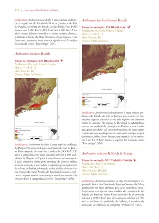 178 | Livro vermelho da flora do Brasil 
Justificativa: Anthurium langsdorffii é uma espécie endêmi-ca 
da região sul do Estado do Rio de Janeiro e do Vale 
do Paraíba, no norte do Estado de São Paulo. Tem EOO 
menor que 5.000 km² e AOO inferior a 500 km². A es-pécie 
ocupa hábitat específico e muito restrito. Assim, a 
acelerada redução da Mata Atlântica nessas regiões é um 
fator que caracteriza uma ameaça significativa. A espécie 
foi avaliada como “Em perigo” (EN). 
Anthurium lucidum Kunth 
Risco de extinção: EN B1ab(i,ii,iii) Þ 
Avaliador: Maria de Fátima Freitas 
Data: 07-03-2012 
Distribuição: RJ 
Bioma: Mata Atlântica 
Justificativa: Anthurium lucidum é uma espécie endêmica 
do Parque Nacional da Tijuca, no Estado do Rio de Janei-ro. 
Tem extensão de ocorrência reduzida (EOO=211,73 
km²) e subpopulações com número inferior a 500 indi-víduos. 
A Floresta da Tijuca é uma floresta urbana sujeita 
à ação antrópica direta pela presença de diversas trilhas, 
áreas de visitação e incêndios resultantes, principalmente, 
da soltura de balões, sobretudo na localidade de ocorrên-cia 
conhecida como Morro do Queimado, onde a espé-cie 
está sujeita a todas essas ameaças simultaneamente. Em 
virtude disso, é categorizada como “Em perigo” (EN). 
Anthurium luschnathianum Kunth 
Risco de extinção: EN B1ab(i,iii,iv) Þ 
Avaliador: Maria de Fátima Freitas 
Data: 07-03-2012 
Distribuição: RJ 
Bioma: Mata Atlântica 
Justificativa: Anthurium luschnathianum é uma espécie en-dêmica 
do Estado do Rio de Janeiro que ocorre em for-mações 
vegetais costeiras e em três regiões em distintos 
níveis de ameaça. Na região da Restinga da Marambaia, 
ocorre em unidade de conservação. Porém, a área é utili-zada 
para atividades do exército brasileiro. As duas outras 
regiões são ameaçadas pela extensiva ação antrópica e por 
queimadas. Além desses fatores, sua extensão de ocorrên-cia 
é de 42,73 km². Assim, a espécie foi avaliada como 
“Em perigo” (EN). 
Anthurium radicans K.Koch  Haage 
Risco de extinção: VU B1ab(iii)+2ab(iii) Þ 
Avaliador: Daniel Maurenza 
Data: 08-03-2012 
Distribuição: BA; ES 
Bioma: Mata Atlântica 
Justificativa: Anthurium radicans ocorre em formações ve-getais 
do litoral dos Estados do Espírito Santo e da Bahia, 
geralmente em áreas alteradas pela ação antrópica, estan-do 
presente em apenas uma unidade de conservação no 
Estado do Espírito Santo. Com extensão de ocorrência 
inferior a 20.000 km², área de ocupação inferior a 2.000 
km² e declínio da qualidade do hábitat, é considerada 
ameaçada de extinção na categoria “Vulnerável” (VU). 
 