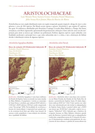 196 | Livro vermelho da flora do Brasil 
ARISTOLOCHIACEAE 
Luiz Menini Neto, Samyra Gomes Furtado, Daniel Maurenza, 
Júlio Souza Reis Júnior, Marcelo Bueno de Abreu 
Aristolochiaceae tem ampla distribuição tanto em região temperada quanto tropical e abriga de cinco a oito 
gêneros e cerca de 500 espécies. No Brasil, ocorre apenas o gênero Aristolochia L. que registra 87 espécies, 
das quais 34 endêmicas, distribuídas pela Amazônia, Caatinga, Cerrado, Mata Atlântica e Pampa. São lianas, 
aromáticas, com flores zigomorfas, apresentando frequentemente coloração e forte odor de carne em decom-posição, 
para atrair as moscas que realizam sua polinização. Embora algumas espécies sejam utilizadas com 
finalidade medicinal, o principal risco a que estão submetidas não é a coleta, e sim a destruição do hábitat 
devido à distribuição restrita de algumas espécies. 
Aristolochia hypoglauca Kuhlm. 
Risco de extinção: EN B1ab(i,ii,iii)+2ab(i,ii,iii) Þ 
Avaliador: Daniel Maurenza 
Data: 25-09-2012 
Distribuição: ES 
Bioma: Mata Atlântica 
Justificativa: Aristolochia hypoglauca é uma liana endêmica 
do Estado do Espírito Santo, ocorrendo nas matas úmidas 
da Mata Atlântica. A população é restrita ao município 
de Santa Teresa e arredores, que indicam EOO inferior a 
5.000 km² e AOO inferior a 500 km², sendo categorizada 
como “Em perigo” (EN). Na localidade de ocorrência, a 
lavoura de monoculturas é responsável por grande par-te 
da economia local, fator que define uma situação de 
ameaça a toda a população e causa redução em extensão, 
área e qualidade do hábitat. 
Aristolochia odora Steud. 
Risco de extinção: VU B1ab(i,ii,iii)+2ab(i,ii,iii) Þ 
Avaliador: Daniel Maurenza 
Data: 25-09-2012 
Distribuição: RJ; SP 
Bioma: Mata Atlântica 
Justificativa: Aristolochia odora é uma liana com ocorrên-cia 
nas Matas Úmidas dos Estados de São Paulo, Rio de 
Janeiro e possivelmente Espírito Santo. Os dados dispo-níveis 
indicam EOO de 7.106,71 km², porém esse valor 
deve estar subestimado por não incluir as subpopulações 
do Espírito Santo. Assim, é possível inferir que a EOO 
seja menor que 20.000 km², colocando a espécie na ca-tegoria 
“Vulnerável” (VU). Sabendo que o histórico de 
ocupação humana na Mata Atlântica eliminou grande 
parte das florestas, é possível inferir que as subpopulações 
conhecidas componham menos de 10 situações de amea-ças. 
O desmatamento resultante principalmente do cres-cimento 
de áreas urbanas e o plantio de monoculturas são 
 