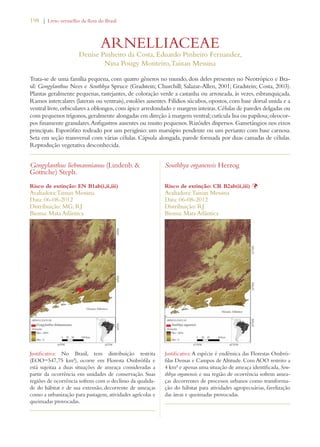 198 | Livro vermelho da flora do Brasil 
ARNELLIACEAE 
Denise Pinheiro da Costa, Eduardo Pinheiro Fernandez, 
Nina Pougy Monteiro, Tainan Messina 
Trata-se de uma família pequena, com quatro gêneros no mundo, dois deles presentes no Neotrópico e Bra-sil: 
Gongylanthus Nees e Southbya Spruce (Gradstein; Churchill; Salazar-Allen, 2001; Gradstein; Costa, 2003). 
Plantas geralmente pequenas, rastejantes, de coloração verde a castanha ou arroxeada, às vezes, esbranquiçada. 
Ramos intercalares (laterais ou ventrais), estolões ausentes. Filídios súcubos, opostos, com base dorsal unida e a 
ventral livre, orbiculares a oblongos, com ápice arredondado e margens inteiras. Células de paredes delgadas ou 
com pequenos trígonos, geralmente alongadas em direção à margem ventral; cutícula lisa ou papilosa; oleocor-pos 
finamente granulares. Anfigastros ausentes ou muito pequenos. Rizóides dispersos. Gametângios nos eixos 
principais. Esporófito rodeado por um perigínio: um marsúpio pendente ou um perianto com base carnosa. 
Seta em seção transversal com várias células. Cápsula alongada, parede formada por duas camadas de células. 
Reprodução vegetativa desconhecida. 
Gongylanthus liebmannianus (Lindenb.  
Gottsche) Steph. 
Risco de extinção: EN B1ab(i,ii,iii) 
Avaliadora: Tainan Messina 
Data: 06-08-2012 
Distribuição: MG; RJ 
Bioma: Mata Atlântica 
Justificativa: No Brasil, tem distribuição restrita 
(EOO=547,75 km²), ocorre em Floresta Ombrófila e 
está sujeitaa a duas situações de ameaça consideradas a 
partir da ocorrência em unidades de conservação. Suas 
regiões de ocorrência sofrem com o declínio da qualida-de 
do hábitat e de sua extensão, decorrente de ameaças 
como a urbanização para pastagem, atividades agrícolas e 
queimadas provocadas. 
Southbya organensis Herzog 
Risco de extinção: CR B2ab(ii,iii) Þ 
Avaliadora: Tainan Messina 
Data: 06-08-2012 
Distribuição: RJ 
Bioma: Mata Atlântica 
Justificativa: A espécie é endêmica das Florestas Ombró-filas 
Densas e Campos de Altitude. Com AOO restrito a 
4 km² e apenas uma situação de ameaça identificada, Sou-thbya 
organensis e sua região de ocorrência sofrem amea-ças 
decorrentes de processos urbanos como transforma-ção 
do hábitat para atividades agropecuárias, favelização 
das áreas e queimadas provocadas. 
 