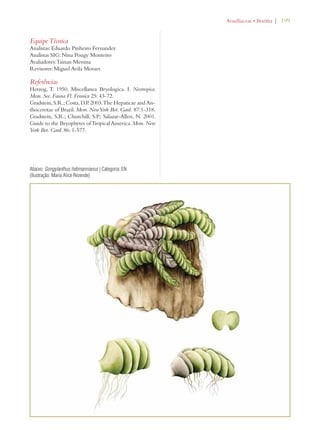 | 199 
Equipe Técnica 
Analistas: Eduardo Pinheiro Fernandez 
Analistas SIG: Nina Pougy Monteiro 
Avaliadores: Tainan Messina 
Revisores: Miguel Avila Moraes 
Referências 
Herzog, T. 1950. Miscellanea Bryologica. I. Neotropica. 
Mem. Soc. Fauna Fl. Fennica 25: 43-72. 
Gradstein, S.R.; Costa, D.P. 2003. The Hepaticae and An-thocerotae 
of Brazil. Mem. New York Bot. Gard. 87:1-318. 
Gradstein, S.R.; Churchill, S.P.; Salazar-Allen, N. 2001. 
Guide to the Bryophytes of Tropical America. Mem. New 
York Bot. Gard. 86: 1-577. 
Abaixo: Gongylanthus liebmannianus | Categoria: EN 
(Ilustração: Maria Alice Rezende) 
!RNELLIACEAEsRIØFITA 
 