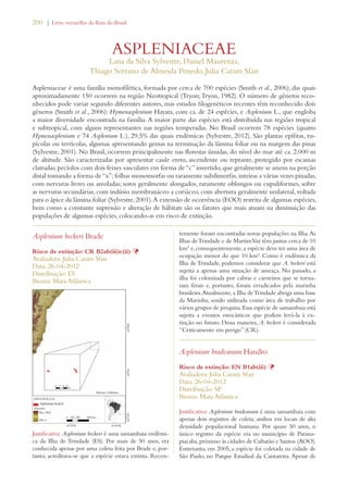 200 | Livro vermelho da flora do Brasil 
ASPLENIACEAE 
Lana da Silva Sylvestre, Daniel Maurenza, 
Thiago Serrano de Almeida Penedo, Julia Caram Sfair 
Aspleniaceae é uma família monofilética, formada por cerca de 700 espécies (Smith et al., 2006), das quais 
aproximadamente 150 ocorrem na região Neotropical (Tryon; Tryon, 1982). O número de gêneros reco-nhecidos 
pode variar segundo diferentes autores, mas estudos filogenéticos recentes têm reconhecido dois 
gêneros (Smith et al., 2006): Hymenasplenium Hayata, com ca. de 24 espécies, e Asplenium L., que engloba 
a maior diversidade encontrada na família. A maior parte das espécies está distribuída nas regiões tropical 
e subtropical, com alguns representantes nas regiões temperadas. No Brasil ocorrem 78 espécies (quatro 
Hymenasplenium e 74 Asplenium L.), 29,5% das quais endêmicas (Sylvestre, 2012). São plantas epífitas, ru-pícolas 
ou terrícolas, algumas apresentando gemas na terminação da lâmina foliar ou na margem das pinas 
(Sylvestre, 2001). No Brasil, ocorrem principalmente nas florestas úmidas, do nível do mar até ca. 2.000 m 
de altitude. São caracterizadas por apresentar caule ereto, ascendente ou reptante, protegido por escamas 
clatradas; pecíolos com dois feixes vasculares em forma de “c” invertido, que geralmente se unem na porção 
distal tomando a forma de “x”; folhas monomorfas ou raramente subdimorfas, inteiras a várias vezes pinadas, 
com nervuras livres ou areoladas; soros geralmente alongados, raramente oblongos ou cupuliformes, sobre 
as nervuras secundárias, com indúsio membranáceo a coriáceo, com abertura geralmente unilateral, voltada 
para o ápice da lâmina foliar (Sylvestre, 2001). A extensão de ocorrência (EOO) restrita de algumas espécies, 
bem como a constante supressão e alteração de hábitats são os fatores que mais atuam na diminuição das 
populações de algumas espécies, colocando-as em risco de extinção. 
Asplenium beckeri Brade 
Risco de extinção: CR B2ab(iii)c(ii) Þ 
Avaliadora: Julia Caram Sfair 
Data: 26-04-2012 
Distribuição: ES 
Bioma: Mata Atlântica 
Justificativa: Asplenium beckeri é uma samambaia endêmi-ca 
da Ilha de Trindade (ES). Por mais de 50 anos, era 
conhecida apenas por uma coleta feita por Brade e, por-tanto, 
acreditava-se que a espécie estava extinta. Recen-temente 
foram encontradas novas populações na Ilha. As 
Ilhas de Trindade e de Martim Vaz têm juntas cerca de 10 
km² e, consequentemente, a espécie deve ter uma área de 
ocupação menor do que 10 km². Como é endêmica da 
Ilha de Trindade, podemos considerar que A. beckeri está 
sujeita a apenas uma situação de ameaça. No passado, a 
ilha foi colonizada por cabras e carneiros que se torna-ram 
ferais e, portanto, foram erradicados pela marinha 
brasileira. Atualmente, a Ilha de Trindade abriga uma base 
da Marinha, sendo utilizada como área de trabalho por 
vários grupos de pesquisa. Essa espécie de samambaia está 
sujeita a eventos estocásticos que podem levá-la à ex-tinção 
no futuro. Dessa maneira, A. beckeri é considerada 
“Criticamente em perigo” (CR). 
Asplenium bradeanum Handro 
Risco de extinção: EN B1ab(iii) Þ 
Avaliadora: Julia Caram Sfair 
Data: 26-04-2012 
Distribuição: SP 
Bioma: Mata Atlântica 
Justificativa: Asplenium bradeanum é uma samambaia com 
apenas dois registros de coleta, ambos em locais de alta 
densidade populacional humana. Por quase 50 anos, o 
único registro da espécie era no município de Parana-piacaba, 
próximo às cidades de Cubatão e Santos (AOO). 
Entretanto, em 2005, a espécie foi coletada na cidade de 
São Paulo, no Parque Estadual da Cantareira. Apesar de 
 