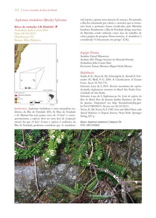 202 | Livro vermelho da flora do Brasil 
Asplenium trindadense (Brade) Sylvestre 
Risco de extinção: CR B2ab(iii) Þ 
Avaliadora: Julia Caram Sfair 
Data: 08-05-2012 
Distribuição: ES 
Bioma: Mata Atlântica 
Justificativa: Asplenium trindadense é uma samambaia en-dêmica 
da Ilha de Trindade (ES). As Ilhas de Trindade 
e de Martim Vaz tem juntas cerca de 10 km² e, conse-quentemente, 
a espécie deve ter uma área de ocupação 
menor do que 10 km². Como a espécie é endêmica da 
Ilha de Trindade, podemos considerar que A. trindadense 
está sujeita a apenas uma situação de ameaça. No passado, 
a ilha foi colonizada por cabras e carneiros que se torna-ram 
ferais e, portanto, foram erradicados pela Marinha 
brasileira. Atualmente, a Ilha de Trindade abriga uma base 
da Marinha, sendo utilizada como área de trabalho de 
vários grupos de pesquisa. Dessa maneira, A. trindadense é 
considerada “Criticamente em perigo” (CR). 
Equipe Técnica 
Analista: Daniel Maurenza 
Analista SIG: Thiago Serrano de Almeida Penedo 
Avaliadora: Julia Caram Sfair. 
Revisores: Tainan Messina, Miguel Avila Moraes 
Referências 
Smith, A. R.; Pryer, K. M.; Schuettpelz, E.; Korall, P.; Sch-neider 
H.; Wolf, P. G. 2006. A Classification of Extant 
Ferns. Taxon 55:705-731. 
Sylvestre, Lana da S. 2001. Revisão taxonômica das espécies 
da família Aspleniaceae ocorrentes no Brasil. São Paulo: Uni-versidade 
de São Paulo. 
Sylvestre, Lana da S. Aspleniaceae. In: Lista de espécies da 
flora do Brasil. Rio de Janeiro: Jardim Botânico do Rio 
de Janeiro. Disponível em http: floradobrasil.jbrj.gov. 
br/2012/FB090671. Acesso em 06/02/2013. 
Tryon, R. M.; Tryon, A. F. 1982. Fern and Allied Plants with 
Special Reference to Tropical America. Nova York: Springer 
Verlag, 857 p. 
Abaixo: Asplenium castaneum | Categoria: EN 
(Foto: João Condack) 
 