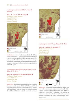 204 | Livro vermelho da flora do Brasil 
Acritopappus catolesensis D.J.N. Hind  
Bautista 
Risco de extinção: VU B1ab(iii) Þ 
Avaliadora: Tainan Messina 
Data: 25-04-2012 
Distribuição: BA 
Bioma: Caatinga 
Justificativa: A espécie é endêmica do Estado da Bahia e 
ocorre em áreas de Caatinga e, possivelmente, Cerrado, 
com EOO menor que 20.000 km². A região de ocorrên-cia 
é cenário de incêndios frequentes e de outras ameaças 
decorrentes de impactos causados por populações huma-nas 
que resultam em declínio contínuo da qualidade do 
hábitat da espécie. 
Acritopappus connatifolius (Soar.Nunes) R.M. 
King  H. Rob. 
Risco de extinção: EN B1ab(iii)+2ab(iii) Þ 
Avaliadora: Tainan Messina 
Data: 25-04-2012 
Distribuição: BA 
Bioma: Caatinga 
Justificativa: Acritopappus connatifolius é endêmica da Bahia 
e tem distribuição restrita (EOO=679,17 km²; AOO=40 
km²). Está sujeita a uma única situação de ameaça, definida 
pela incidência de fogo, que resulta em declínio contínuo 
da qualidade do hábitat na região de ocorrência da espécie. 
Acritopappus irwinii R.M. King  H. Rob. 
Risco de extinção: VU B1ab(iii) Þ 
Avaliadora: Tainan Messina 
Data: 25-04-2012 
Distribuição: MG 
Bioma: Cerrado 
Justificativa: A espécie ocorre no Estado de Minas Ge-rais, 
sendo encontrada na região do município de Grão- 
-Mogol, na Serra do Cipó e Diamantina. Tem EOO cal-culada 
em 11.642,10 km² e está sujeita a três situações de 
ameaça, que foram identificadas considerando o fogo e o 
declínio na qualidade do hábitat como principais amea-ças 
à espécie. 
 
