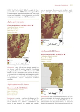 | 209 
(EOO=56,57 km²; e AOO=12 km²). A região do Cara-ça, 
apesar de ser uma RPPN, sofre com as queimadas e 
o turismo intenso. A pequena distribuição da espécie em 
apenas uma localidade a torna criticamente suscetível à 
extinção pela eliminação dos indivíduos maduros. 
Aspilia eglerii J.U. Santos 
Risco de extinção: CR B2ab(i,ii,iii,iv) Þ 
Avaliadora: Tainan Messina 
Data: 25-04-2012 
Distribuição: MG 
Bioma: Cerrado 
Justificativa: Planta rupícola, que produz flores e fru-tos 
durante o mês de janeiro. A espécie é endêmica 
da região de Diamantina em Minas Gerais. Tem AOO 
restrito a 4 km² e está sujeita a uma situação de ameaça. 
A espécie deve ser monitorada para garantir o contro-le 
de ameaças como queimadas e atividades antrópicas 
que podemlevar a espécie à extinção em um futuro 
próximo. 
Aspilia espinhacensis J.U. Santos 
Risco de extinção: EN B1ab(iii) 
Avaliadora: Tainan Messina 
Data: 25-04-2012 
Distribuição: MG 
Bioma: Cerrado 
Justificativa: A espécie é endêmica do Estado de Mi-nas 
Gerais, na região do município de Francis-co 
Sá. Apresenta EOO restrita a 530,50 km² e está 
sujeita a duas situações de ameaça que conside-ram 
!STERACEAEs!NGIOSPERMA 
as queimadas decorrentes de atividades antró-picas 
a principal ameaça à sobrevivência da espécie. 
Aspilia grazielae J.U. Santos 
Risco de extinção: EN B1ab(i,ii,iii) Þ 
Avaliadora: Tainan Messina 
Data: 25-04-2012 
Distribuição: MS 
Bioma: Pantanal 
Justificativa: A espécie é endêmica do maciço do Uru-cum, 
no município de Corumbá, Mato Grosso do Sul. 
Tem extensão de ocorrência de 268,37 km² e está su-jeita 
a apenas duas situações de ameaça. O avanço da 
mineração na região de ocorrência da espécie tem cau- 
 